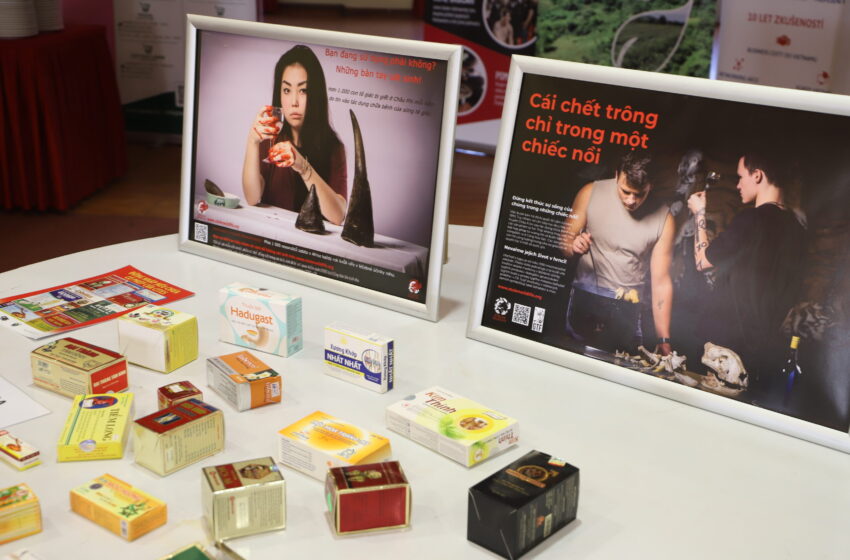  V Sapě se konal seminář CITES