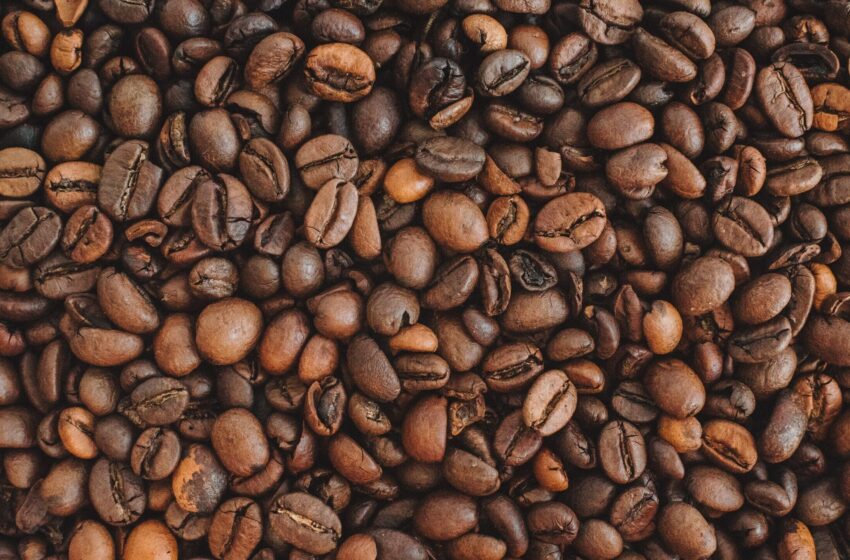  Aktualita: Vývoz vietnamské kávy