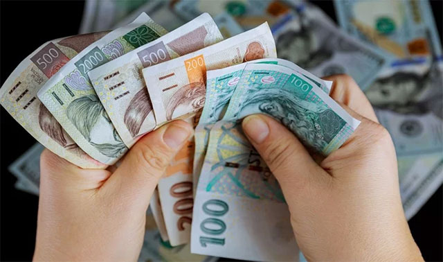  Những loại tiền giấy Séc sắp hết hạn. Hướng dẫn nhận biết và đổi tiền chi tiết!