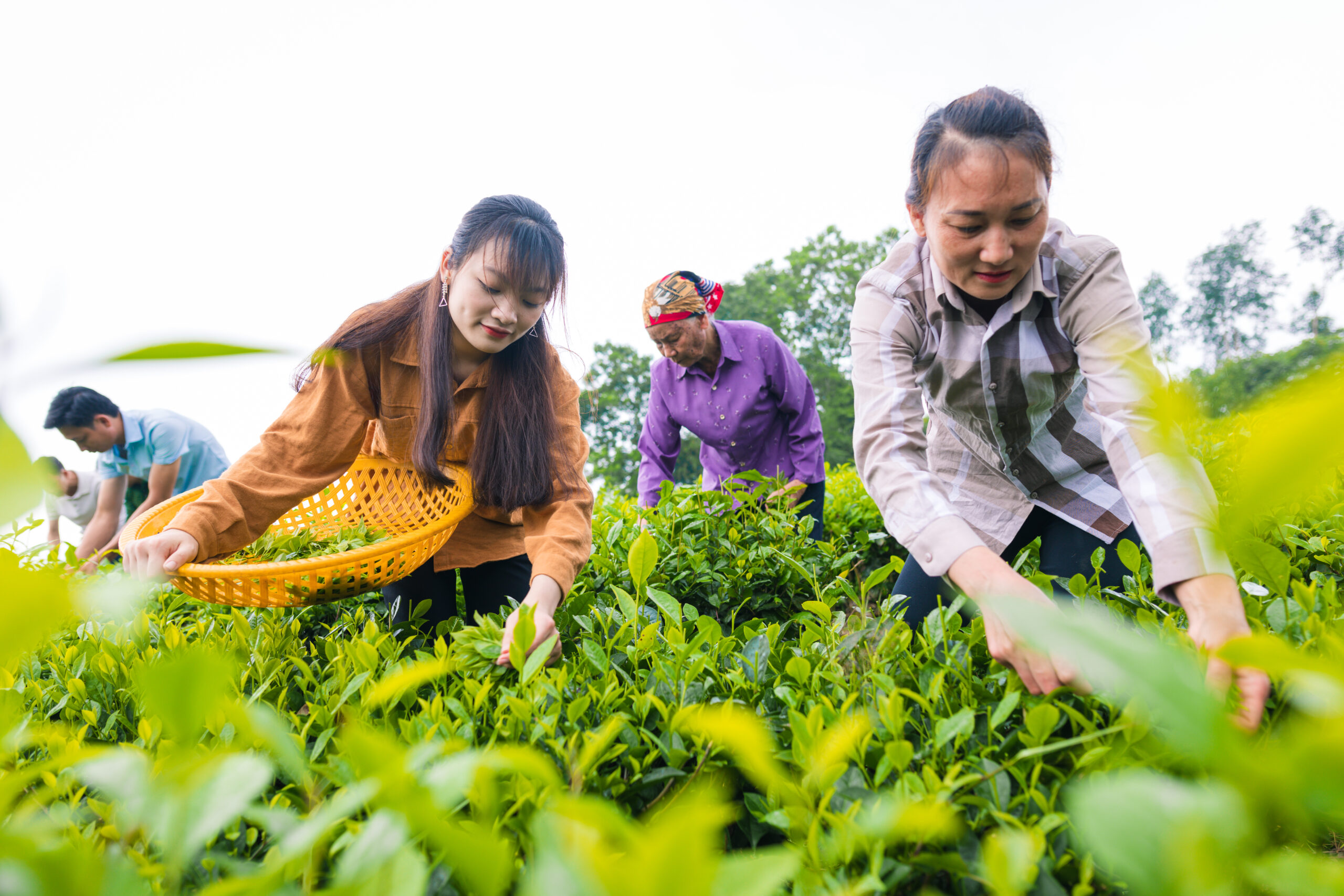FOR GASTRO: Zažij, poznej a ochutnej Vietnam